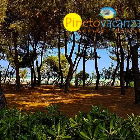 Apartment Claudia Int. F -