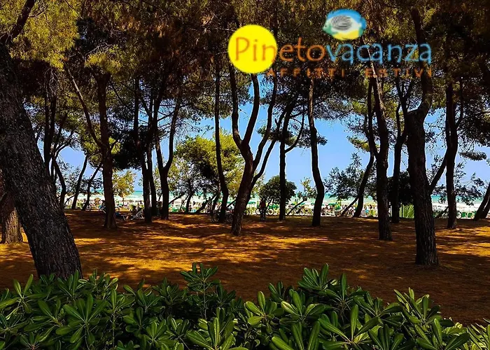 Apartman Claudia Int. F -